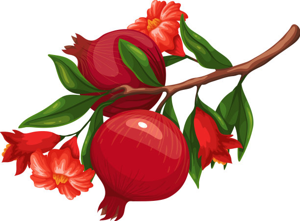 石榴枝上有花有果图片下载