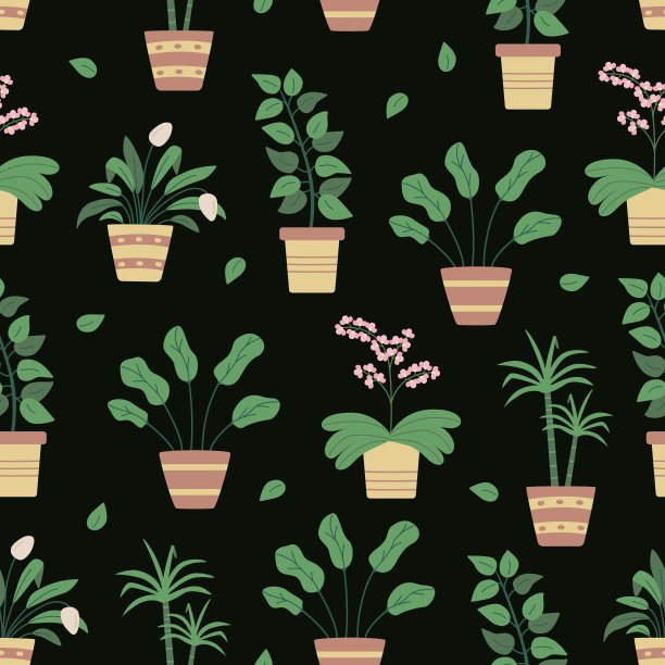 无缝图案盆栽花卉，矢量插图背景榕树，龙血兰。图片下载