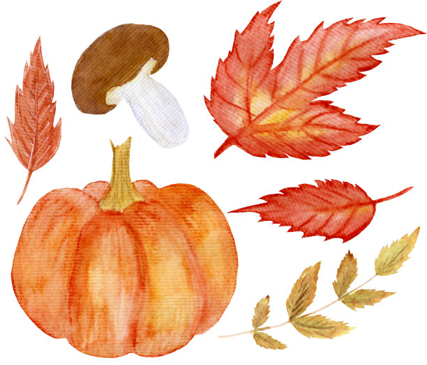 水彩秋叶秋季收藏，南瓜，蘑菇感恩节。图片下载