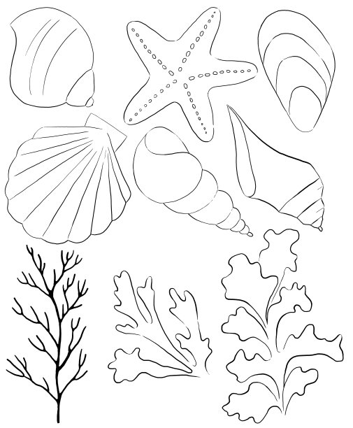海贝，海星，海草和珊瑚制成的黑色轮廓，海滩婚礼插图的单一元素，剪贴画图片下载