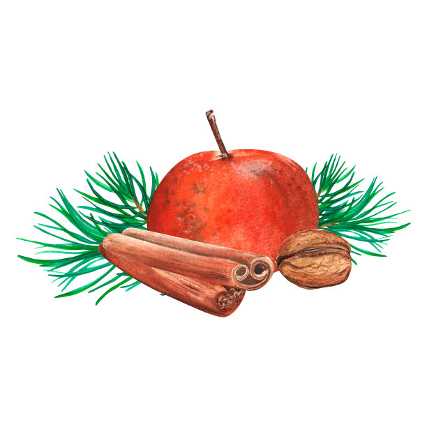 水彩插图核桃，橘子，肉桂棒和绿色云杉枝。水彩孤立在白色背景图片下载