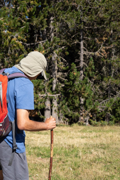 一个带着帽子和背包的成熟男人开始在西班牙比利牛斯的森林里徒步旅行图片下载