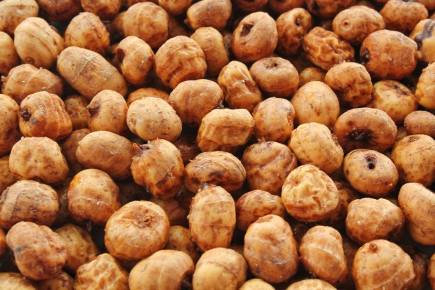 来自西班牙瓦伦西亚的chufa, tigernut, earth almond制作传统的典型美味的自制冷饮horchata的特写图片下载