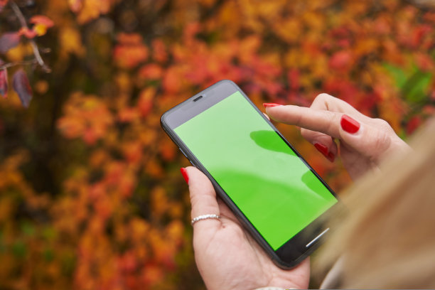 在秋叶红色的背景下，女性手握绿色屏幕的智能手机图片下载