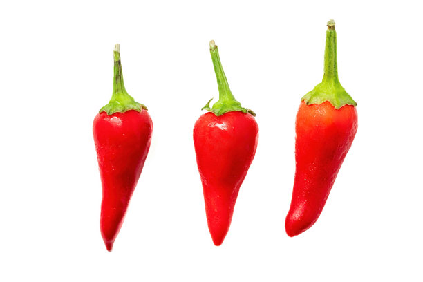 有机新鲜红辣椒孤立在白色的背景图片下载