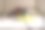 羽毛球:图片显示羽毛球拍，羽毛球和鞋训练，特写，室内运动，运动器具。图片下载