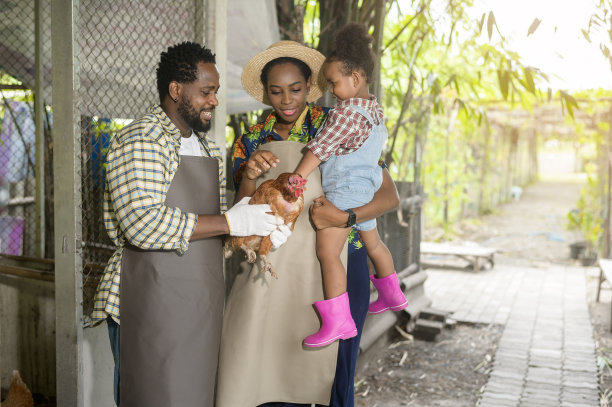 快乐的黑人农学家家庭享受和工作在农田，农业概念图片下载