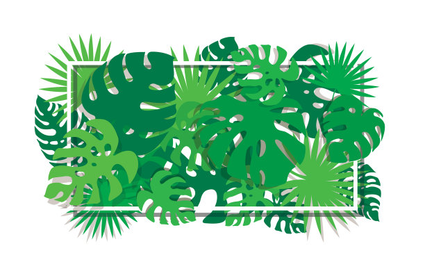 热带叶模板背景图片下载