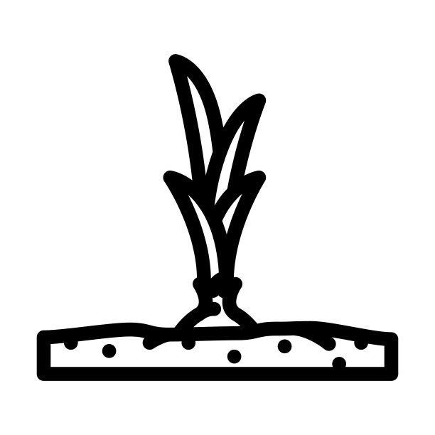 花园洋葱线图标矢量插图图片下载