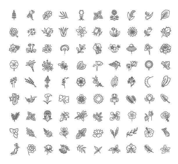 一套花和草药图标在平面设计图片下载