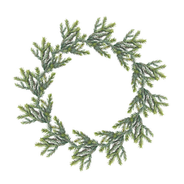 水彩绿色圣诞树冷杉花环孤立在白色背景。圆框边框模板。现实手绘剪纸与拷贝空间的新年庆祝邀请或墙纸图片下载