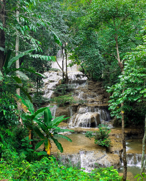 大森林里的瀑布图片下载