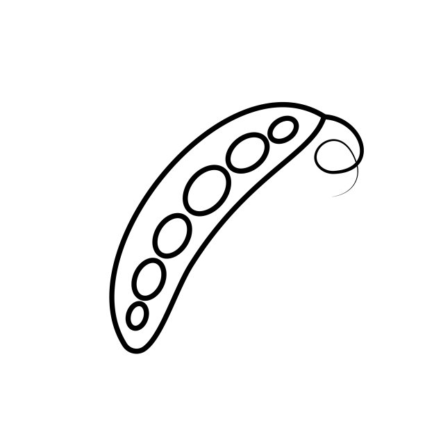 豌豆蔬菜图标轮廓黑色eps 10豌豆荚图片下载