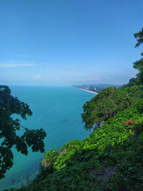 植物园图片下载