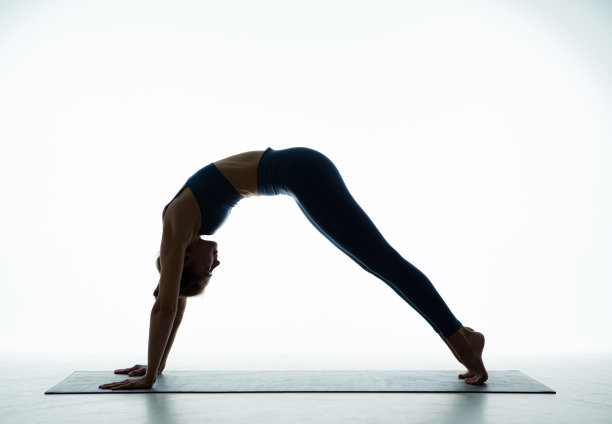 苗条的运动灵活的年轻女孩练习瑜伽或普拉提，执行下犬式运动的白色背景图片下载