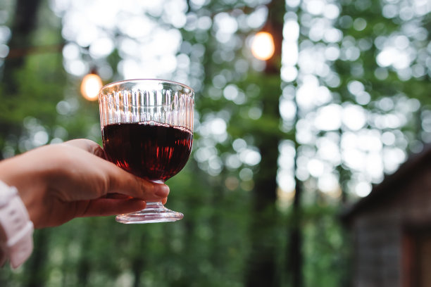 拿着水晶酒杯的女人，图片下载