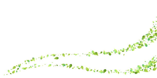 叶绿叶落飞叶茶薄荷图片下载