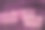 粉色薄纱后面，是天然玫瑰香皂图片下载