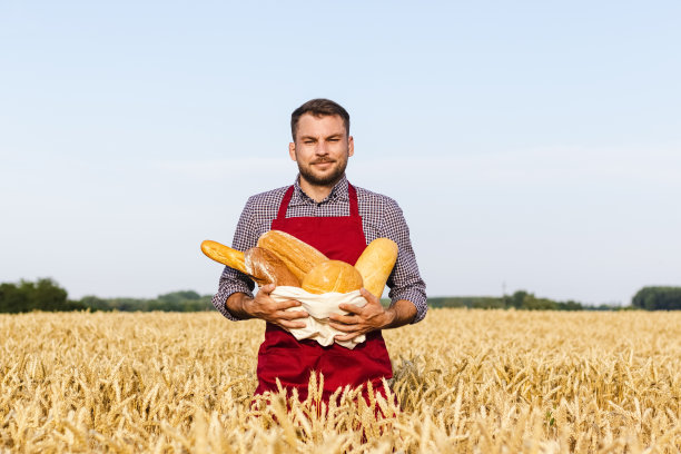 面包师站在麦田里，手里拿着一块块的面包。图片下载
