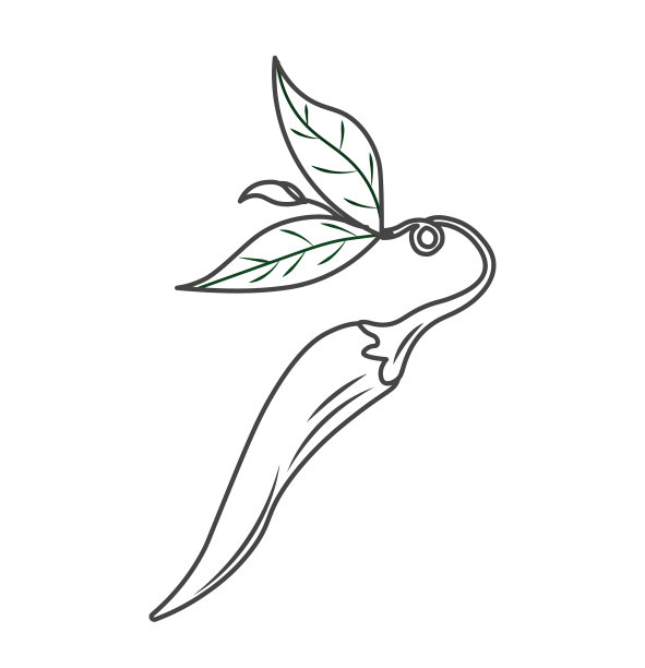 胡椒简约的图标图片下载