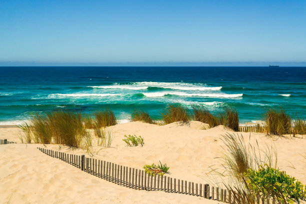 岸上的防护木栅栏，上面覆盖着沙子图片下载