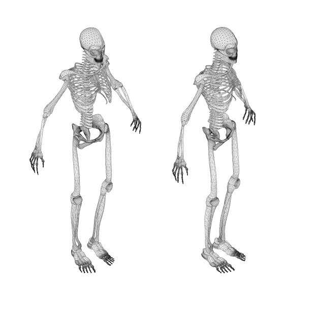 设置人体骨架线框从黑色线条孤立在白色背景。等距视图。3 d。矢量插图。图片下载