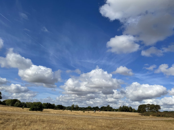 美丽的一天，美丽的云俯瞰邦基高尔夫俱乐部邦基普通英国萨福克图片下载