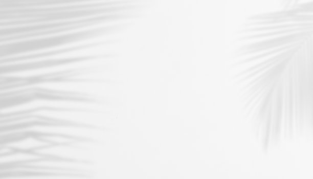 棕榈叶在白色水泥墙上的阴影作为抽象背景。图片下载