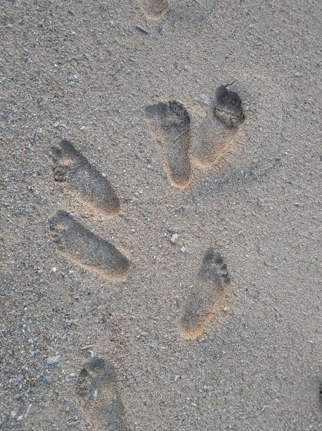 沙滩上的脚印图片下载