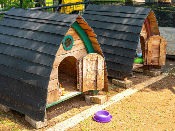 两个三角形的宠物屋图片下载