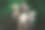 三只好奇的狗的肖像图片下载