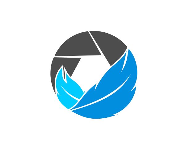 鸟毛镜头图片下载