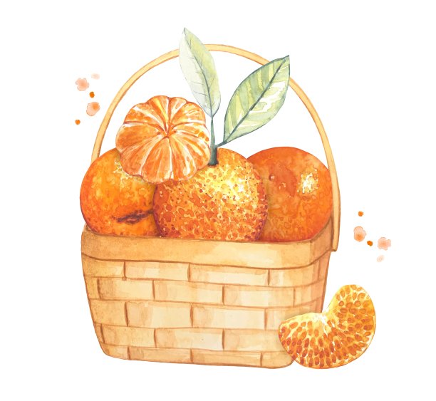 熟橘子篮子。水彩插图图片下载