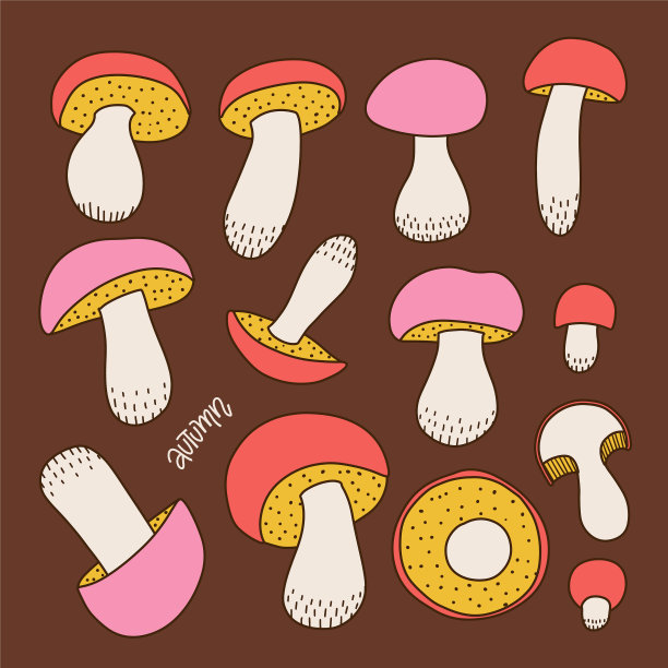 手绘彩色森林野生组合图片下载