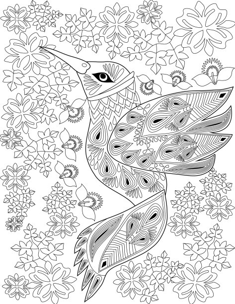 涂色书的书页上有漂亮的小鸟图片下载