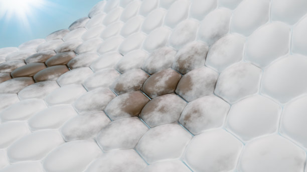 黑斑黄褐斑和阳光图片下载