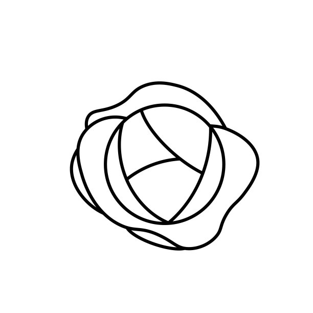 卷心菜蔬菜图标轮廓黑色eps 10图片下载