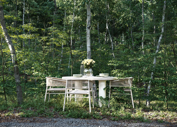 森林里的户外餐桌图片下载