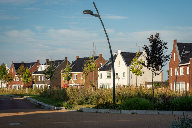 荷兰的现代住宅区，街道上有现代房屋附近的斯巴恩乌德图片下载