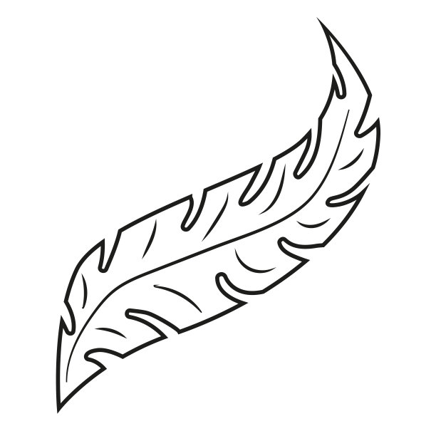 随意的波浪长叶子在一个单一的黑色线条，装饰艺术，孤立的对象图片下载