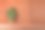桑拿房的木架子上放着干燥的桉树扫帚。横向设计照片图片下载