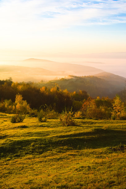 秋天森林里的晨雾。日落雾中的自然景象。风景如画的木凳。明亮的阳光。阳光明媚的日子里日出，清晨的阳光。秋季背景垂直照片。图片下载