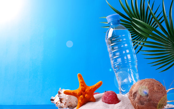 水瓶，椰子，海星和贝壳在沙子上的蓝色图片下载