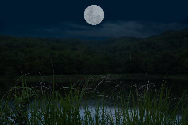 夜晚湖面上的满月。图片下载