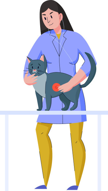 兽医与猫的组合图片下载