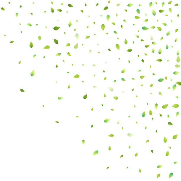 叶绿叶落飞叶茶薄荷图片下载