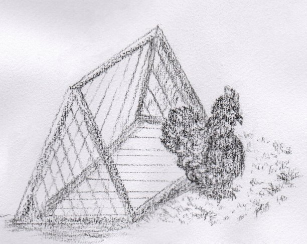 鸡拖拉机和鸡的插图图片下载