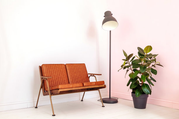 室内装饰:柔软的长凳，绿色的植物，时尚的灯，白色的房间。家庭组成舒适的客厅与扶手椅，植物和球茎在孤立的背景。复制文本空间图片下载