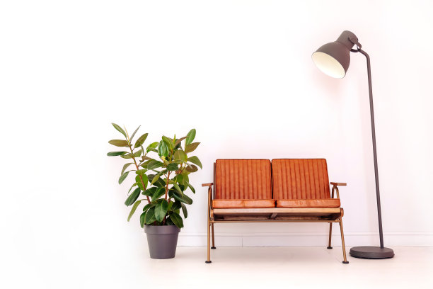 室内家居装饰，柔软的长凳，绿色的植物，时尚的灯在白色的房间。家庭组成舒适的客厅与奥托曼，植物和球茎在孤立的背景。复制文本空间图片下载