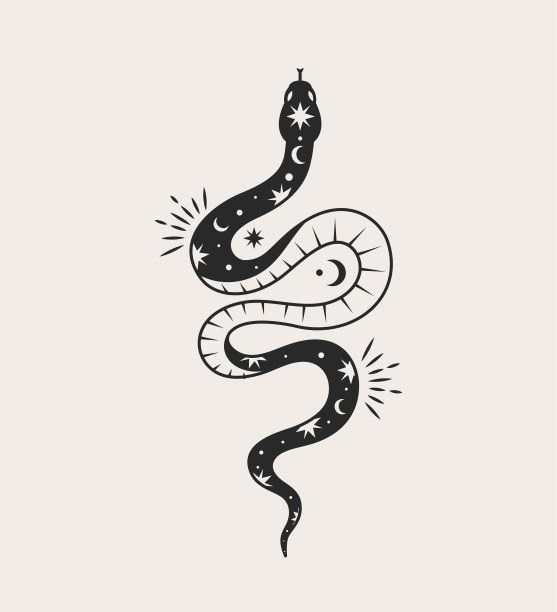 神秘深奥的蛇图片下载